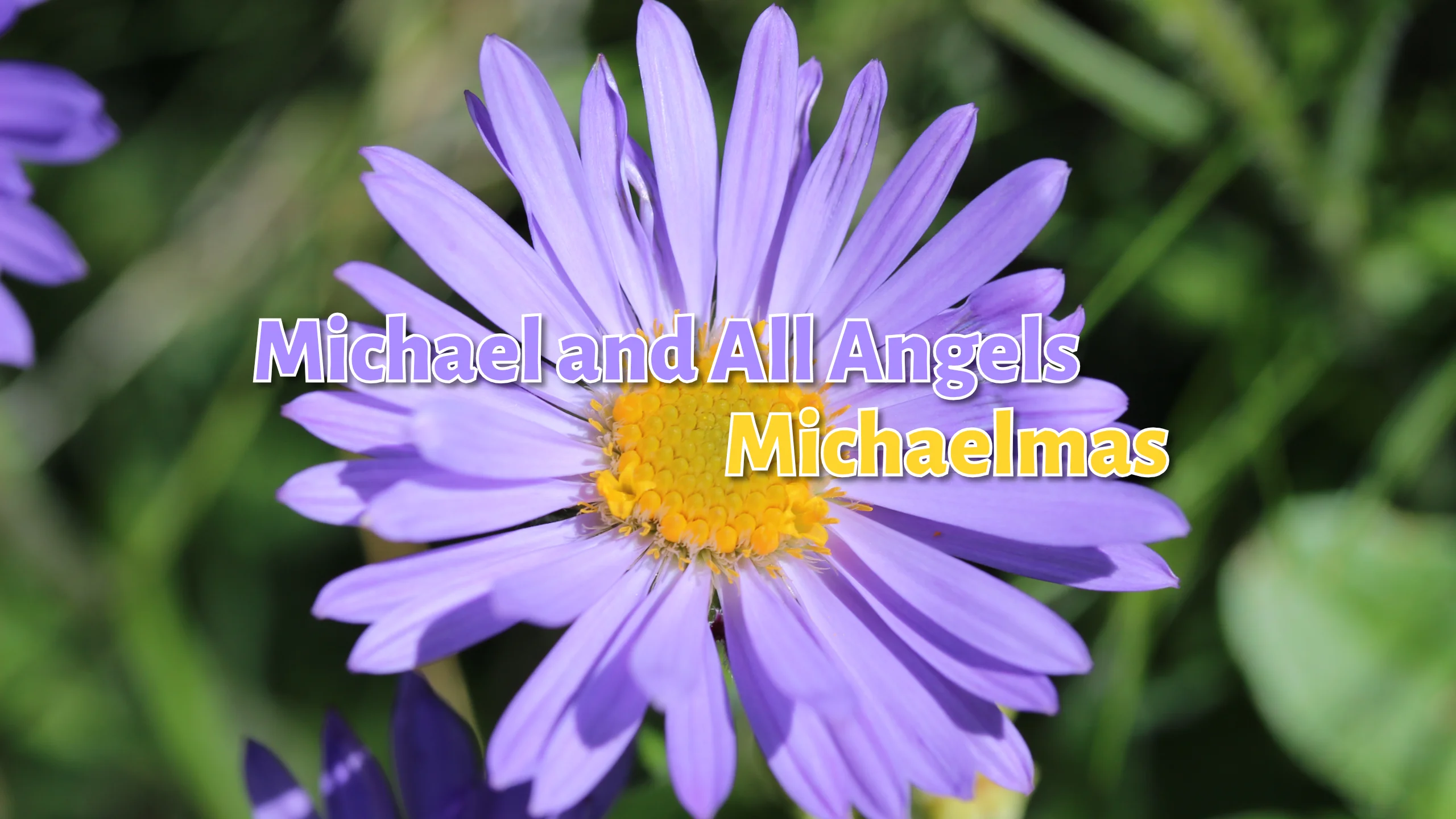 Featured image for “Michaelmas 2024”