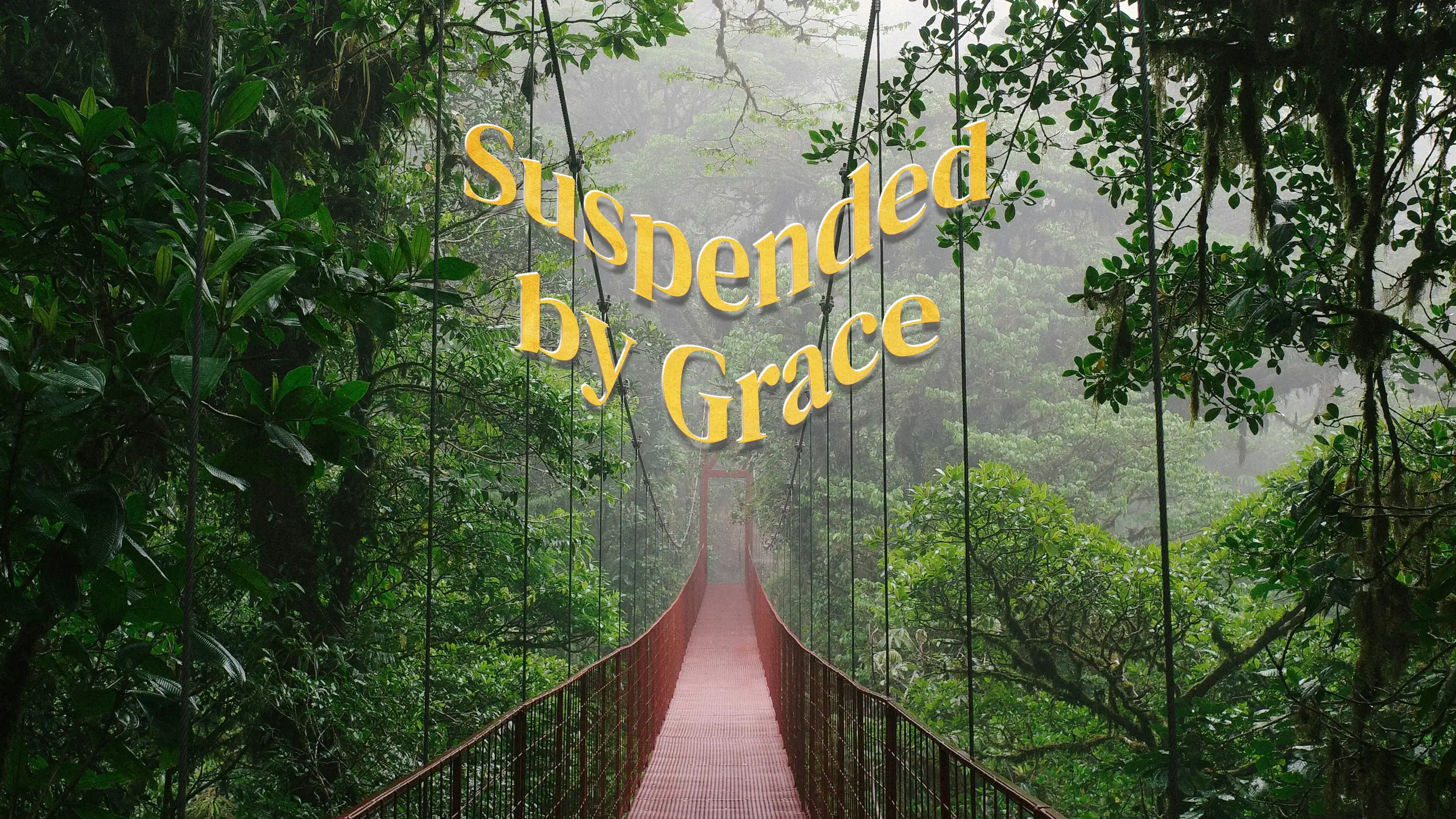 Featured image for “Suspended by the grace of God”