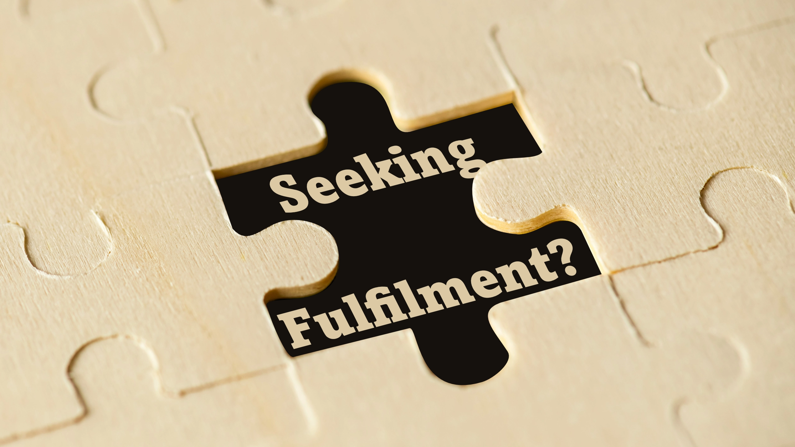 Featured image for “Seeking Fulfilment?”